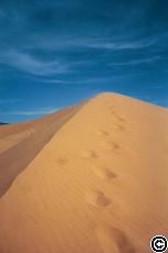 Coral Pink Sand Dunes [Click for fullsize]