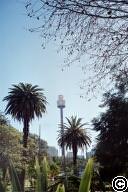 AMP Tower
